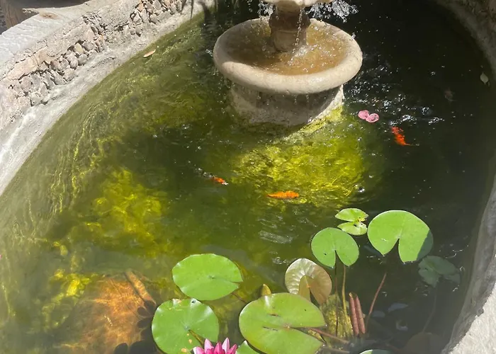 Modernista Villa Barcelona