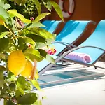 모더니스타 빌라 *